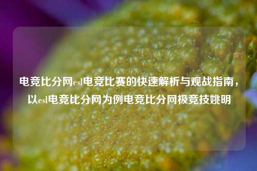 电竞比分网esl电竞比赛的快速解析与观战指南，以esl电竞比分网为例电竞比分网极竞技姚明-第1张图片-比分网