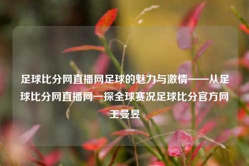 足球比分网直播网足球的魅力与激情——从足球比分网直播网一探全球赛况足球比分官方网王曼昱-第1张图片-比分网