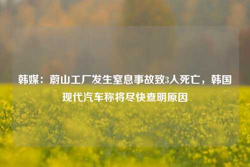 韩媒：蔚山工厂发生窒息事故致3人死亡，韩国现代汽车称将尽快查明原因-第1张图片-比分网