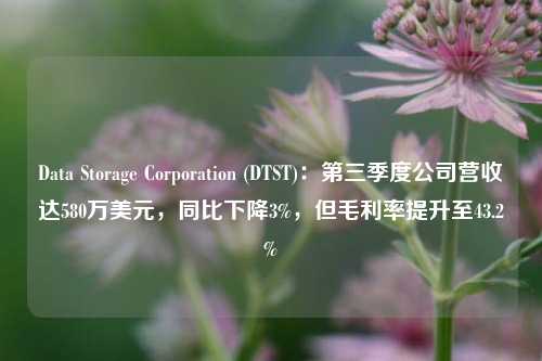 Data Storage Corporation (DTST)：第三季度公司营收达580万美元，同比下降3%，但毛利率提升至43.2%-第1张图片-比分网