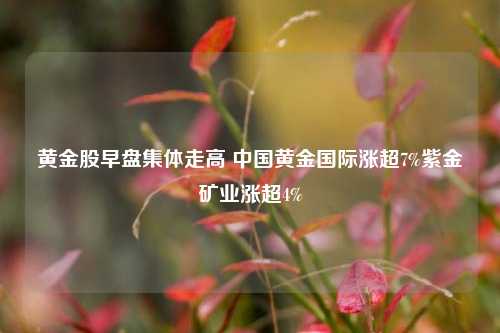 黄金股早盘集体走高 中国黄金国际涨超7%紫金矿业涨超4%-第1张图片-比分网