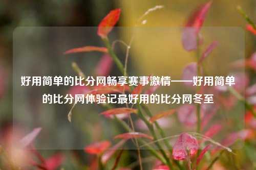 好用简单的比分网畅享赛事激情——好用简单的比分网体验记最好用的比分网冬至-第1张图片-比分网