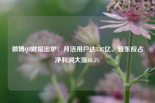 微博Q3财报出炉：月活用户达5.87亿、股东应占净利润大涨68.5%-第1张图片-比分网