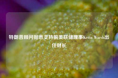 特朗普顾问据悉支持前美联储理事Kevin Warsh出任财长-第1张图片-比分网