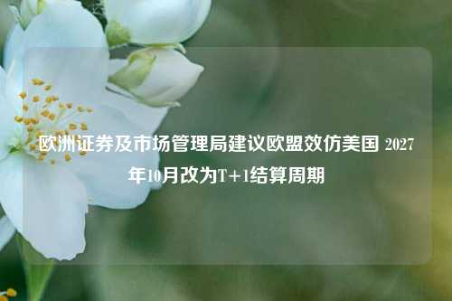 欧洲证券及市场管理局建议欧盟效仿美国 2027年10月改为T+1结算周期-第1张图片-比分网