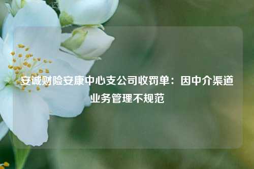 安诚财险安康中心支公司收罚单：因中介渠道业务管理不规范-第1张图片-比分网