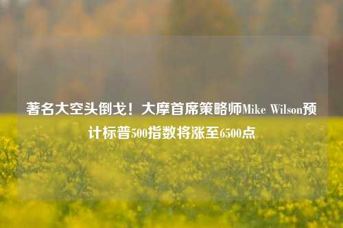 著名大空头倒戈！大摩首席策略师Mike Wilson预计标普500指数将涨至6500点-第1张图片-比分网