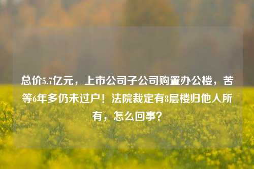 总价5.7亿元，上市公司子公司购置办公楼，苦等6年多仍未过户！法院裁定有8层楼归他人所有，怎么回事？-第1张图片-比分网