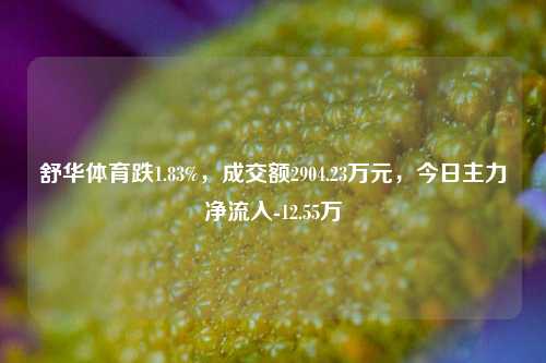 舒华体育跌1.83%，成交额2904.23万元，今日主力净流入-12.55万-第1张图片-比分网