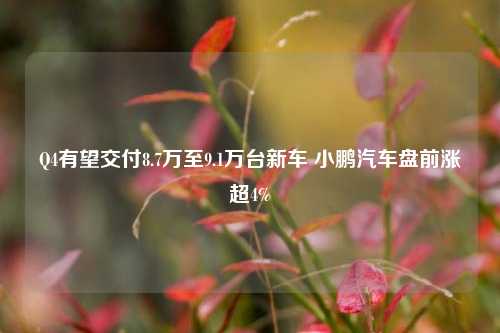 Q4有望交付8.7万至9.1万台新车 小鹏汽车盘前涨超4%-第1张图片-比分网