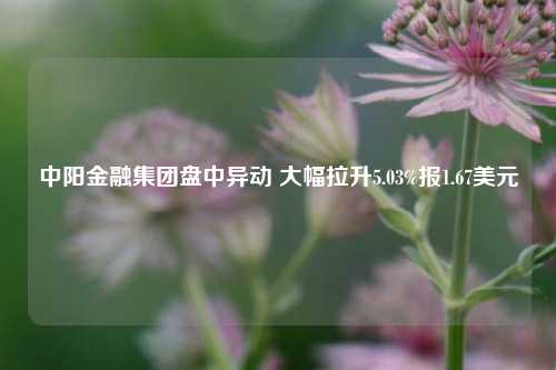 中阳金融集团盘中异动 大幅拉升5.03%报1.67美元-第1张图片-比分网