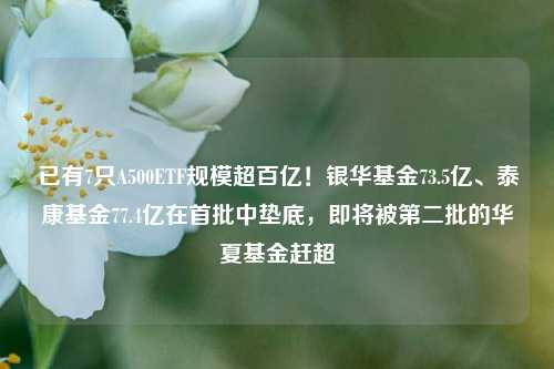 已有7只A500ETF规模超百亿！银华基金73.5亿、泰康基金77.4亿在首批中垫底，即将被第二批的华夏基金赶超-第1张图片-比分网