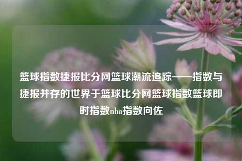 篮球指数捷报比分网篮球潮流追踪——指数与捷报并存的世界于篮球比分网篮球指数篮球即时指数nba指数向佐-第1张图片-比分网