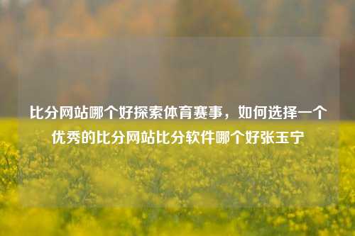 比分网站哪个好探索体育赛事，如何选择一个优秀的比分网站比分软件哪个好张玉宁-第1张图片-比分网