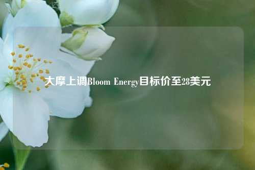 大摩上调Bloom Energy目标价至28美元-第1张图片-比分网