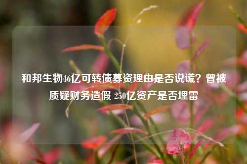 和邦生物46亿可转债募资理由是否说谎？曾被质疑财务造假 250亿资产是否埋雷-第1张图片-比分网