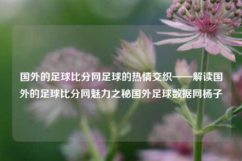 国外的足球比分网足球的热情交织——解读国外的足球比分网魅力之秘国外足球数据网杨子-第1张图片-比分网