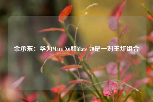 余承东：华为Mate X6和Mate 70是一对王炸组合-第1张图片-比分网