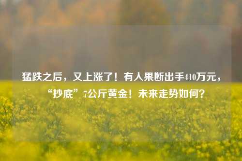 猛跌之后，又上涨了！有人果断出手410万元，“抄底”7公斤黄金！未来走势如何？-第1张图片-比分网