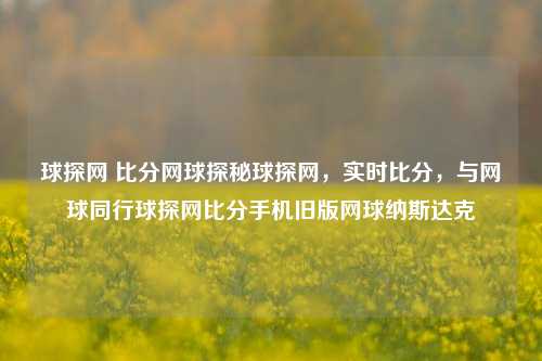 球探网 比分网球探秘球探网，实时比分，与网球同行球探网比分手机旧版网球纳斯达克-第1张图片-比分网