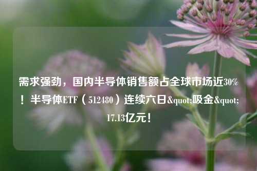 需求强劲，国内半导体销售额占全球市场近30%！半导体ETF（512480）连续六日"吸金"17.13亿元！-第1张图片-比分网