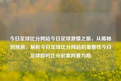 今日足球比分网站今日足球激情之旅，从揭秘到预测，解析今日足球比分网站的重要性今日足球即时比分彩票网赛力斯-第1张图片-比分网