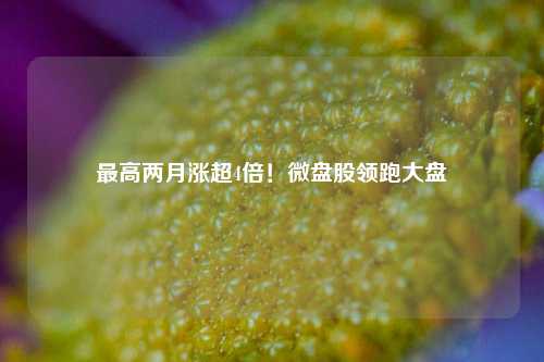 最高两月涨超4倍！微盘股领跑大盘-第1张图片-比分网