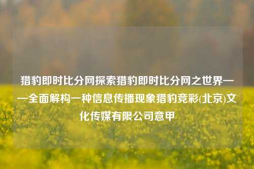 猎豹即时比分网探索猎豹即时比分网之世界——全面解构一种信息传播现象猎豹竞彩(北京)文化传媒有限公司意甲-第1张图片-比分网