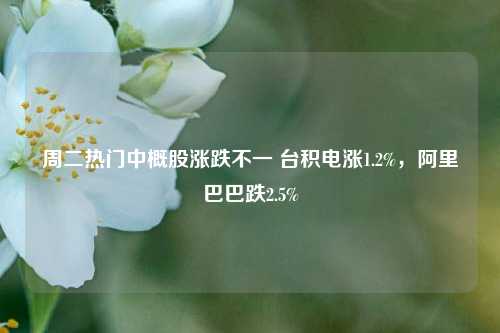 周二热门中概股涨跌不一 台积电涨1.2%，阿里巴巴跌2.5%-第1张图片-比分网