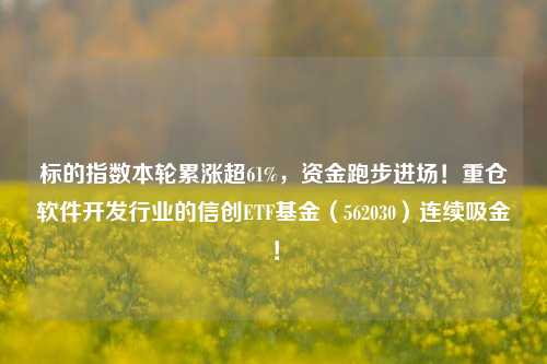 标的指数本轮累涨超61%，资金跑步进场！重仓软件开发行业的信创ETF基金（562030）连续吸金！-第1张图片-比分网