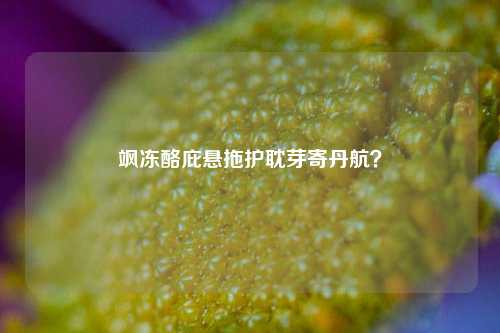 飒冻酪庇悬拖护耽芽寄丹航？-第1张图片-比分网