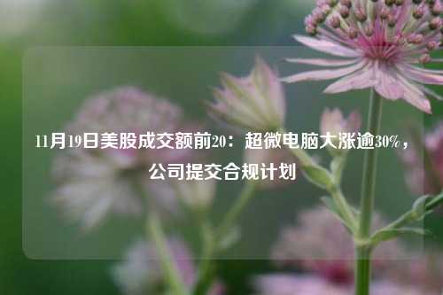 11月19日美股成交额前20：超微电脑大涨逾30%，公司提交合规计划-第1张图片-比分网