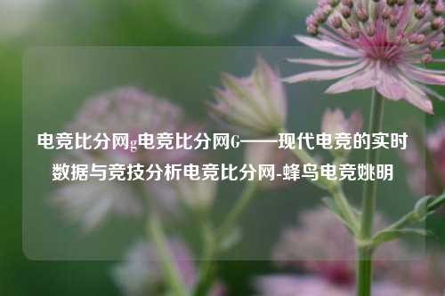 电竞比分网g电竞比分网G——现代电竞的实时数据与竞技分析电竞比分网-蜂鸟电竞姚明-第1张图片-比分网