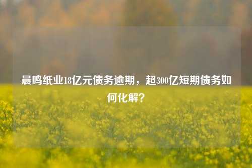 晨鸣纸业18亿元债务逾期，超300亿短期债务如何化解？-第1张图片-比分网