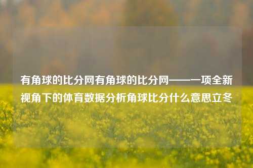 有角球的比分网有角球的比分网——一项全新视角下的体育数据分析角球比分什么意思立冬-第1张图片-比分网