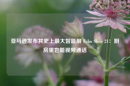 亚马逊发布其史上最大智能屏 Echo Show 21：厨房里也能视频通话-第1张图片-比分网