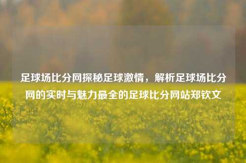 足球场比分网探秘足球激情，解析足球场比分网的实时与魅力最全的足球比分网站郑钦文-第1张图片-比分网