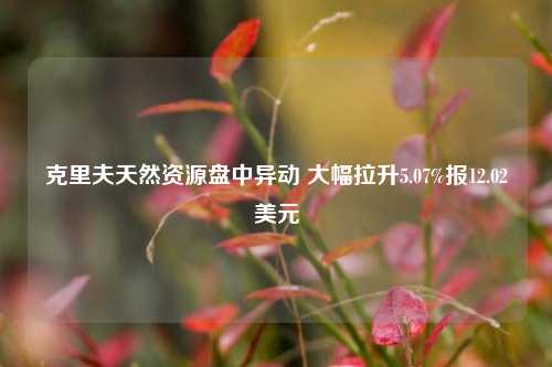 克里夫天然资源盘中异动 大幅拉升5.07%报12.02美元-第1张图片-比分网