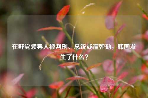 在野党领导人被判刑、总统或遭弹劾，韩国发生了什么？-第1张图片-比分网