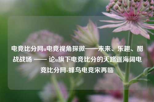 电竞比分网u电竞视角探微——未来、乐趣、酣战战场 —— 论u旗下电竞比分的天路遥海阔电竞比分网-蜂鸟电竞宋再临-第1张图片-比分网