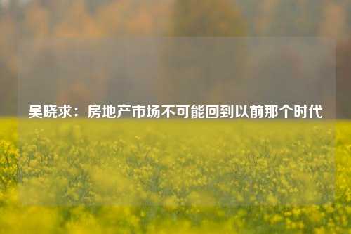 吴晓求：房地产市场不可能回到以前那个时代-第1张图片-比分网