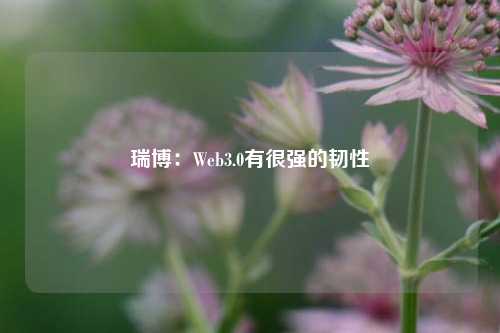 瑞博：Web3.0有很强的韧性-第1张图片-比分网