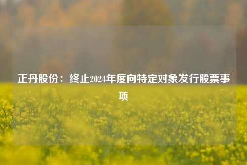 正丹股份：终止2024年度向特定对象发行股票事项-第1张图片-比分网