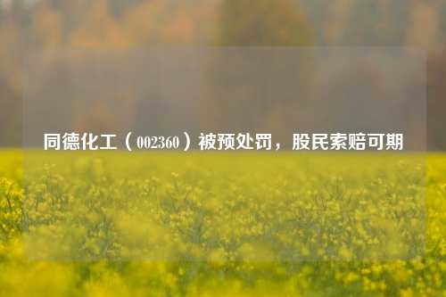 同德化工（002360）被预处罚，股民索赔可期-第1张图片-比分网