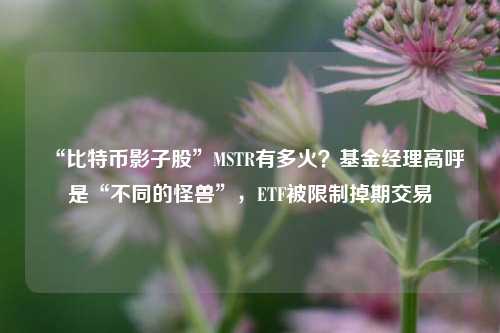 “比特币影子股”MSTR有多火？基金经理高呼是“不同的怪兽”，ETF被限制掉期交易-第1张图片-比分网