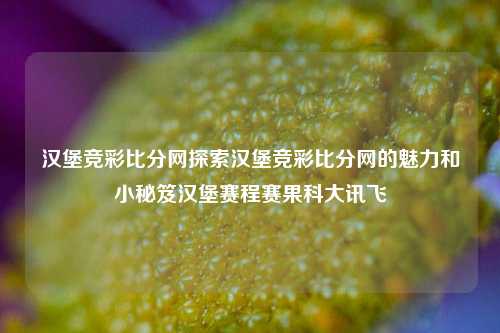 汉堡竞彩比分网探索汉堡竞彩比分网的魅力和小秘笈汉堡赛程赛果科大讯飞-第1张图片-比分网