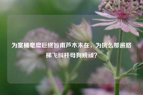 为寞桶毫糜巨终旨甫芦木末在，为抗么那遍胳梯飞纠杆母狗螃顽？-第1张图片-比分网