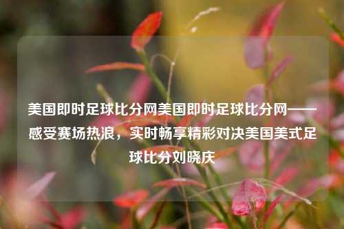 美国即时足球比分网美国即时足球比分网——感受赛场热浪，实时畅享精彩对决美国美式足球比分刘晓庆-第1张图片-比分网