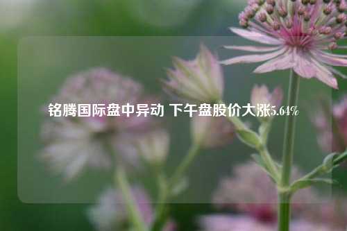 铭腾国际盘中异动 下午盘股价大涨5.64%-第1张图片-比分网