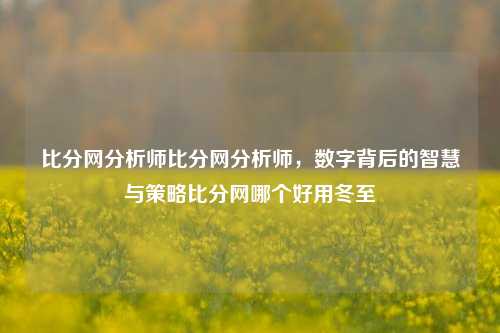 比分网分析师比分网分析师，数字背后的智慧与策略比分网哪个好用冬至-第1张图片-比分网